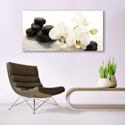 Glasbild aus Plexiglas® Blumen Steine Pflanzen