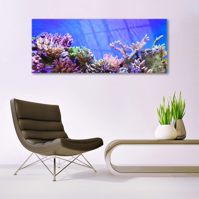 Glasbild aus Plexiglas® Korallenriff Natur