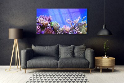 Glasbild aus Plexiglas® Korallenriff Natur