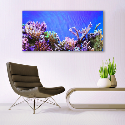 Glasbild aus Plexiglas® Korallenriff Natur