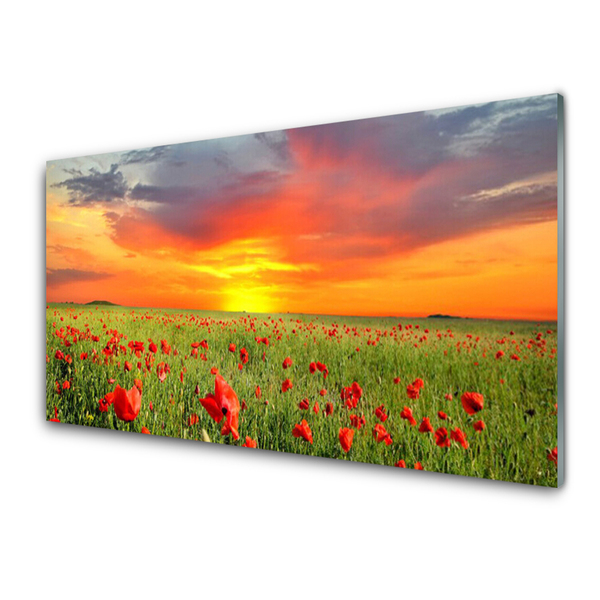 Glasbild aus Plexiglas® Mohnblumen Sonne Natur