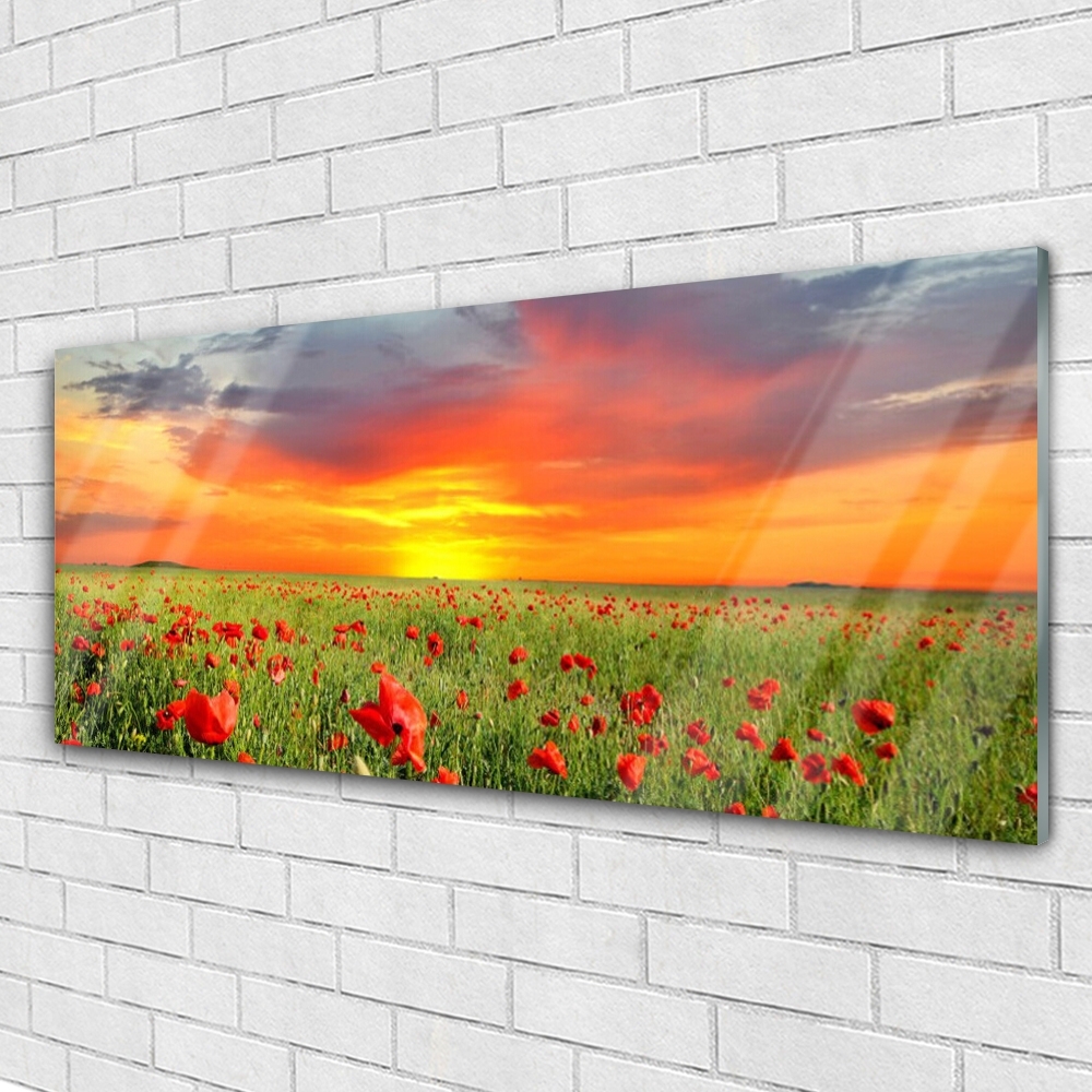 Wandbilder Glasbilder Druck auf Glas 125x50 Mohnblumen Sonne Natur 