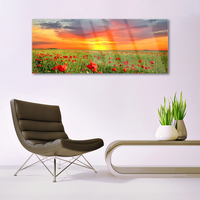 Glasbild aus Plexiglas® Mohnblumen Sonne Natur