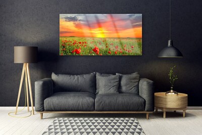 Glasbild aus Plexiglas® Mohnblumen Sonne Natur