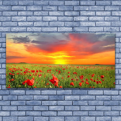 Glasbild aus Plexiglas® Mohnblumen Sonne Natur