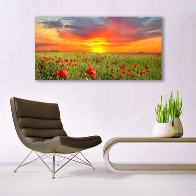 Glasbild aus Plexiglas® Mohnblumen Sonne Natur