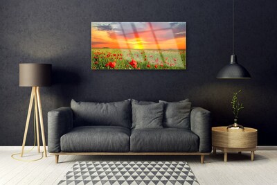 Glasbild aus Plexiglas® Mohnblumen Sonne Natur