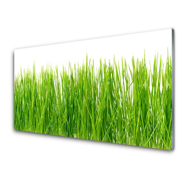 Glasbild aus Plexiglas® Gras Natur