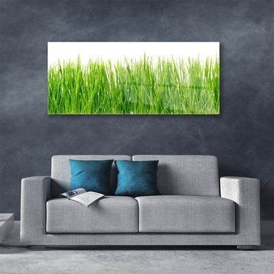 Glasbild aus Plexiglas® Gras Natur