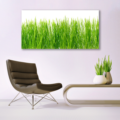 Glasbild aus Plexiglas® Gras Natur