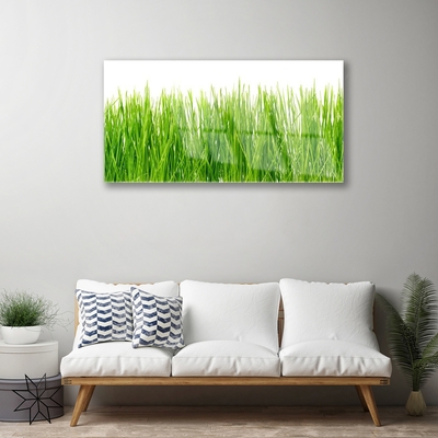 Glasbild aus Plexiglas® Gras Natur