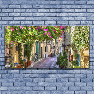 Glasbild aus Plexiglas® Gasse Häuser Pflanzen