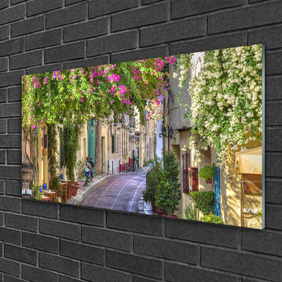 Glasbild aus Plexiglas® Gasse Häuser Pflanzen