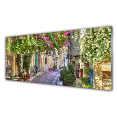 Glasbild aus Plexiglas® Gasse Häuser Pflanzen