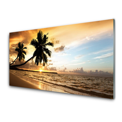 Glasbild aus Plexiglas® Palmen Strand Meer Landschaft