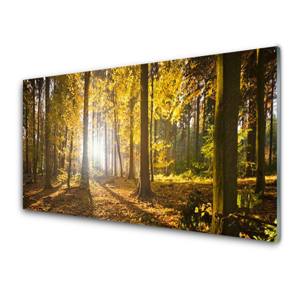 Glasbild aus Plexiglas® Wald Natur