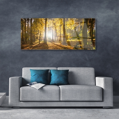 Glasbild aus Plexiglas® Wald Natur