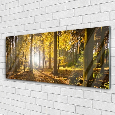 Glasbild aus Plexiglas® Wald Natur