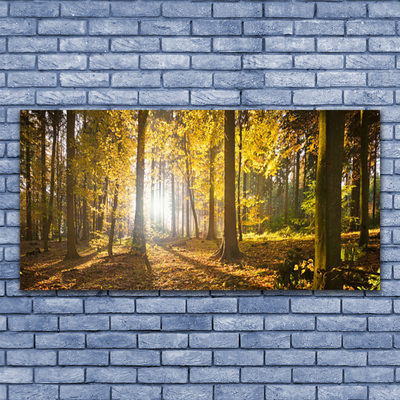 Glasbild aus Plexiglas® Wald Natur