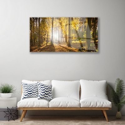 Glasbild aus Plexiglas® Wald Natur