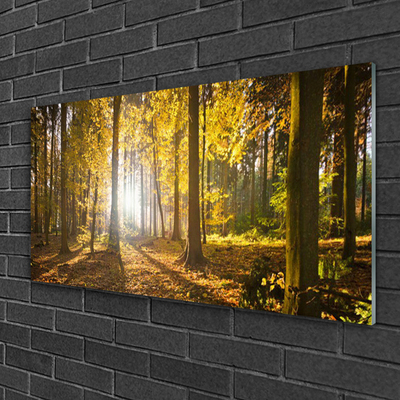 Glasbild aus Plexiglas® Wald Natur