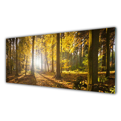 Glasbild aus Plexiglas® Wald Natur