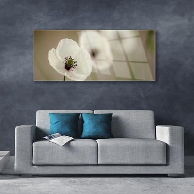 Glasbild aus Plexiglas® Blume Pflanzen