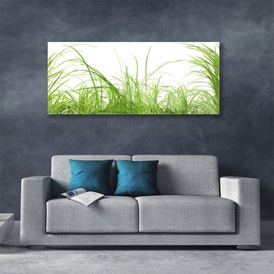 Glasbild aus Plexiglas® Gras Natur