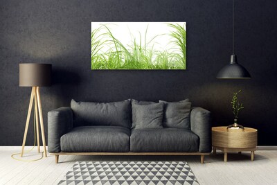 Glasbild aus Plexiglas® Gras Natur