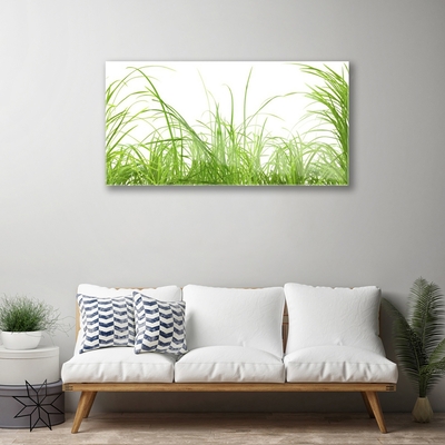 Glasbild aus Plexiglas® Gras Natur