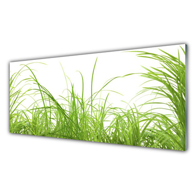 Glasbild aus Plexiglas® Gras Natur