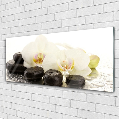 Glasbild aus Plexiglas® Blumen Steine Kunst