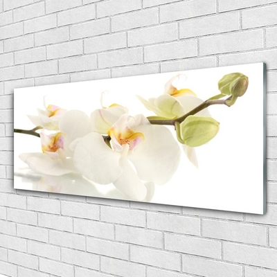 Glasbild aus Plexiglas® Blumen Pflanzen