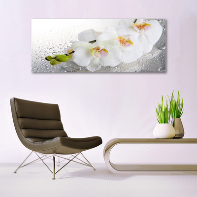 Glasbild aus Plexiglas® Blumen Pflanzen