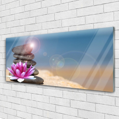 Glasbild aus Plexiglas® Steine Blume Kunst