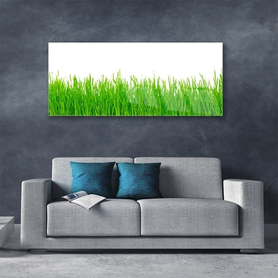 Glasbild aus Plexiglas® Gras Natur