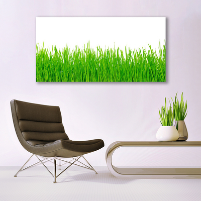 Glasbild aus Plexiglas® Gras Natur