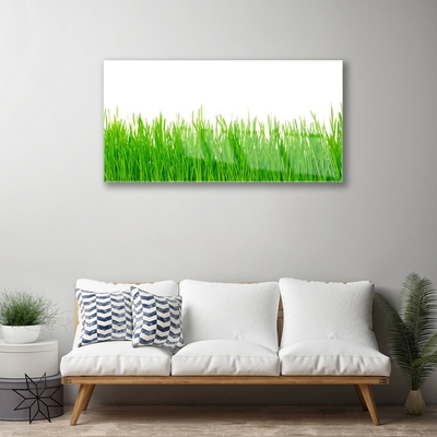 Glasbild aus Plexiglas® Gras Natur