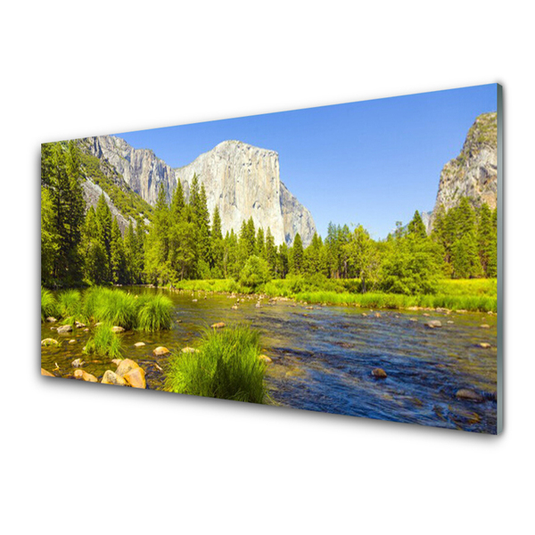 Glasbild aus Plexiglas® See Gebirge Wald Natur