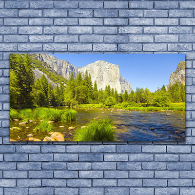 Glasbild aus Plexiglas® See Gebirge Wald Natur