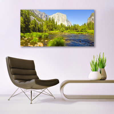 Glasbild aus Plexiglas® See Gebirge Wald Natur