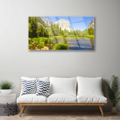 Glasbild aus Plexiglas® See Gebirge Wald Natur