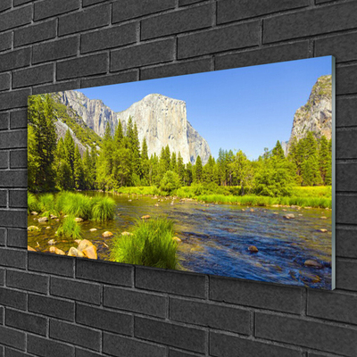 Glasbild aus Plexiglas® See Gebirge Wald Natur