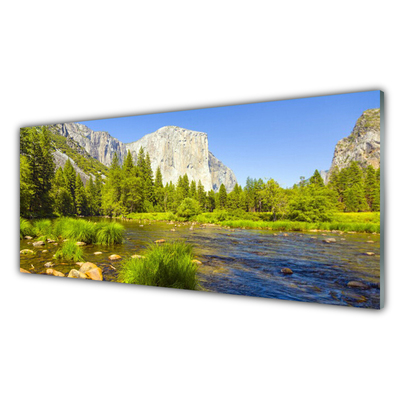 Glasbild aus Plexiglas® See Gebirge Wald Natur