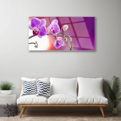 Glasbild aus Plexiglas® Blumen Pflanzen