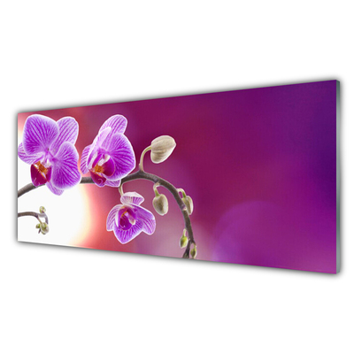 Glasbild aus Plexiglas® Blumen Pflanzen