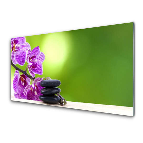 Glasbild aus Plexiglas® Blumen Steine Pflanzen