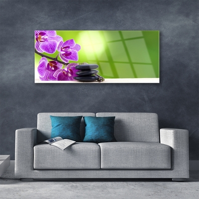 Glasbild aus Plexiglas® Blumen Steine Pflanzen