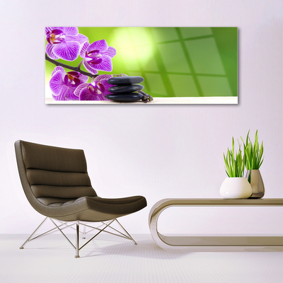 Glasbild aus Plexiglas® Blumen Steine Pflanzen