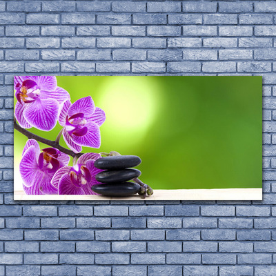 Glasbild aus Plexiglas® Blumen Steine Pflanzen